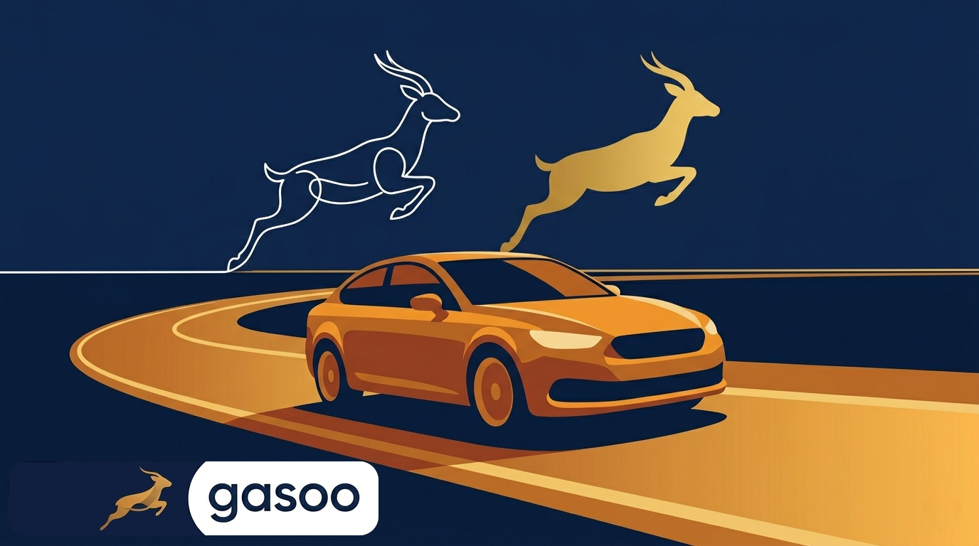 gasoo — aplikacja do zarządzania kosztami pojazdu